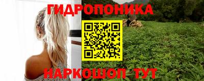сатива Изобильный