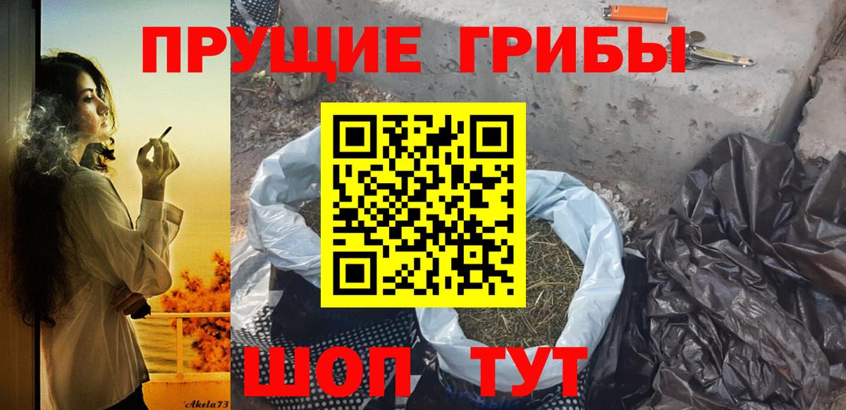 Псилоцибиновые грибы Cubensis Мценск