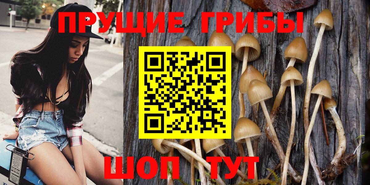 Псилоцибиновые грибы мухоморы Мценск