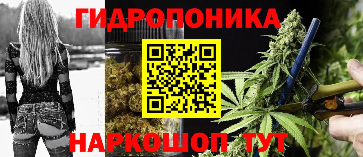 Каннабис планчик Мценск